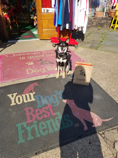 Pet Supply Store «The Dog Store», reviews and photos, 2301 Mt Vernon Ave, Alexandria, VA 22301, USA