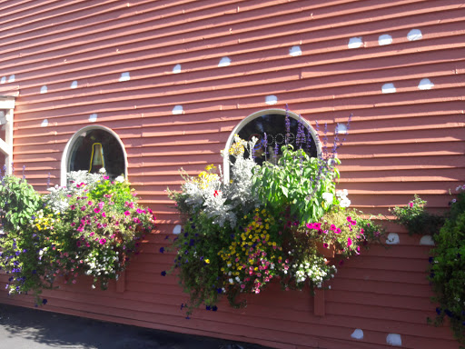 Grocery Store «Albertsons», reviews and photos, 11012 Canyon Rd E, Puyallup, WA 98373, USA