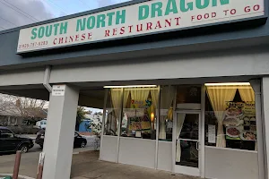 South North Dragon image