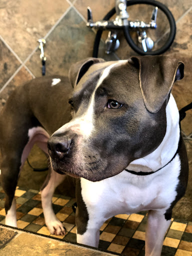 Pet Store «Pet Valu», reviews and photos, 2290 Central Park Ave, Yonkers, NY 10701, USA