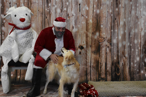 Pet Supply Store «Thomaston Feed of Cheshire», reviews and photos, 851 S Main St, Cheshire, CT 06410, USA