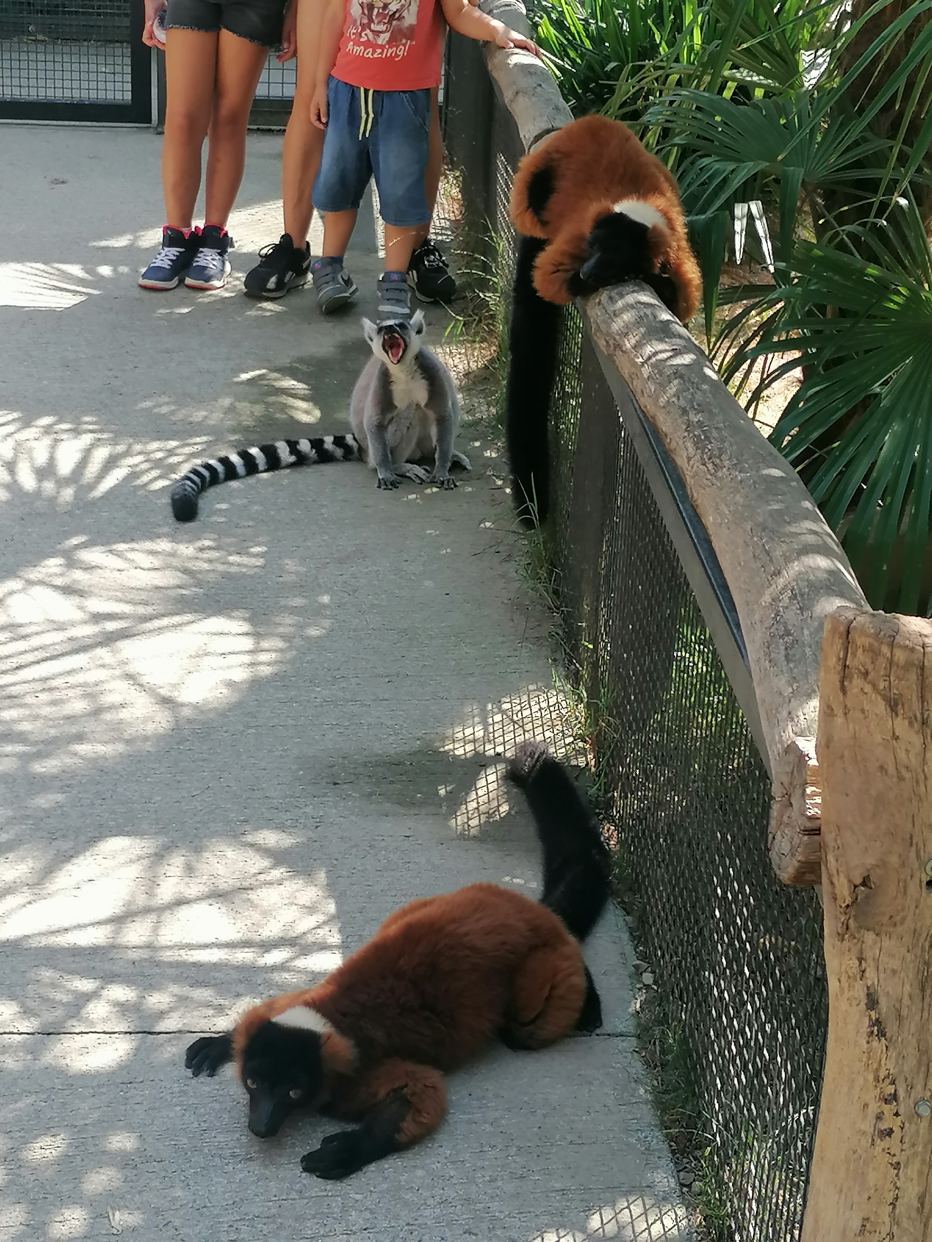 Photo n° 27 de l'avis de Gilles.. fait le 23/08/2023 à 12:57