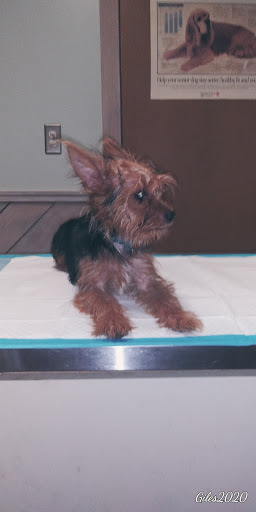 Pet Supply Store «PetSmart», reviews and photos, 849 E 23rd St, Panama City, FL 32405, USA