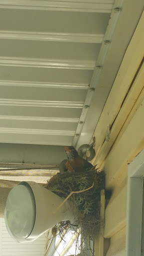 Golf Club «Salemtowne Golf Club», reviews and photos, 2900 Oakcrest Dr NW, Salem, OR 97304, USA