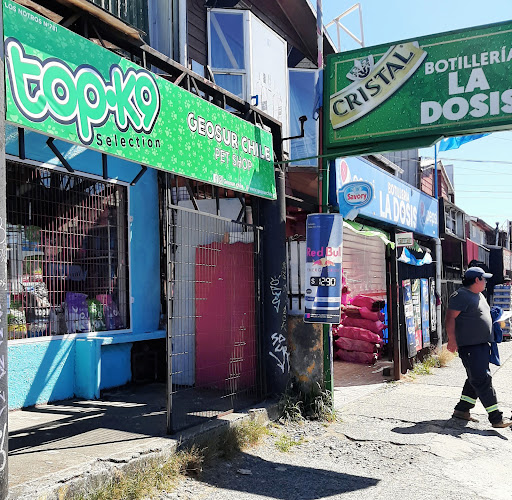 Botilleria la dosis - Puerto Montt