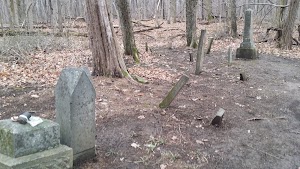 Earl H Barnhart Buzzards Roost Nature Preserve - photo 15