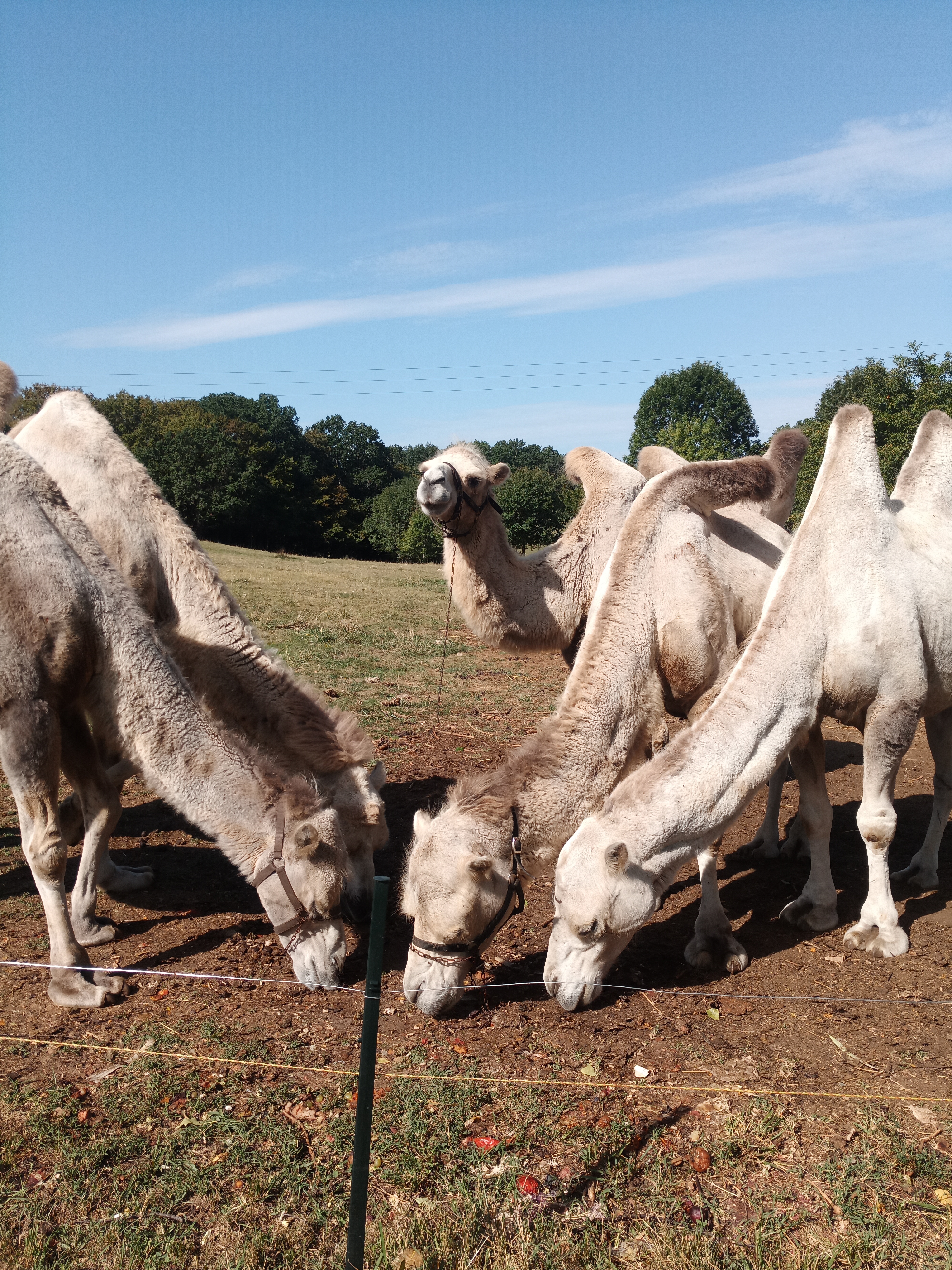 Photo n° 1 de l'avis de Nathalie.O fait le 19/08/2023 à 12:50