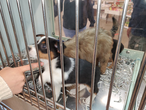 Pet Store «Back To Nature Pets & Grooming», reviews and photos, 110 N Dupont Hwy, New Castle, DE 19720, USA