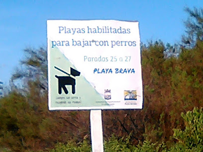 Playa Brava P26 (perros)