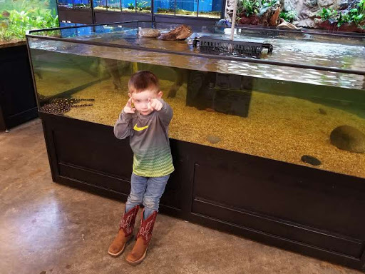 Pet Store «Miles of Exotics», reviews and photos, 8350 N Broadway, Kansas City, MO 64118, USA