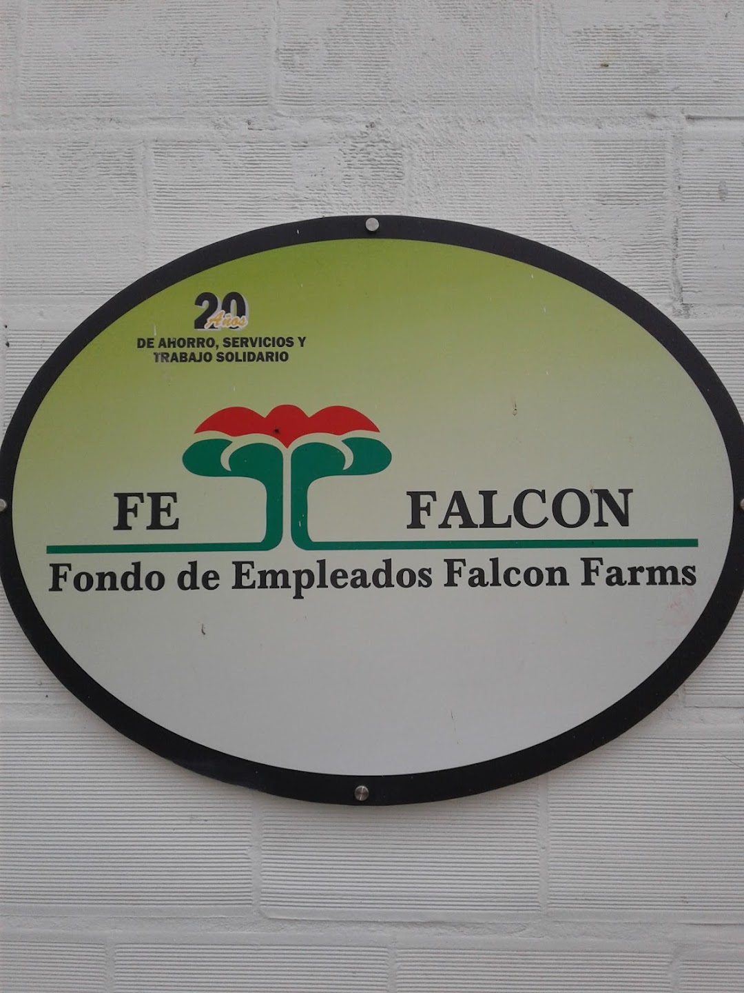 Fondo Empleados Falcon Farms De Colombia