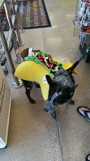 Pet Supply Store «Petco Animal Supplies», reviews and photos, 8809 Lakeview Pkwy #116, Rowlett, TX 75088, USA