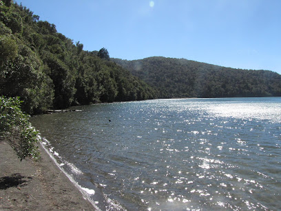 Lake Rotopounamu track