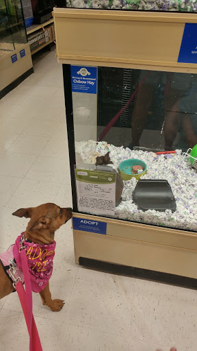 Pet Supply Store «PetSmart», reviews and photos, 1232 Hooper Ave, Toms River, NJ 08753, USA