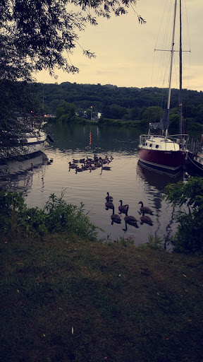 Golf Course «Newman Municipal Golf Course», reviews and photos, 10 Pier Rd, Ithaca, NY 14850, USA