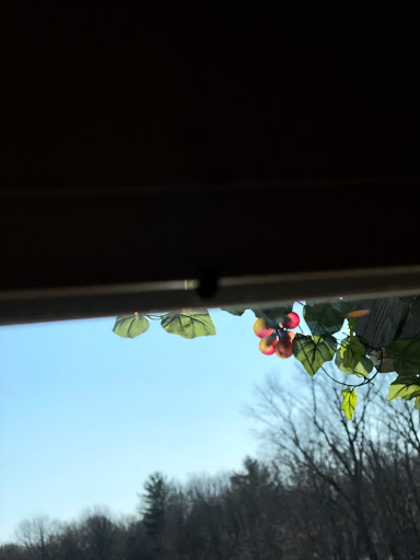 Winery «Connecticut Valley Winery Llc», reviews and photos, 1480 Litchfield Turnpike, New Hartford, CT 06057, USA