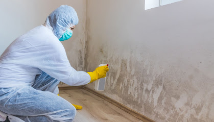 City Beautiful Mold Inspections