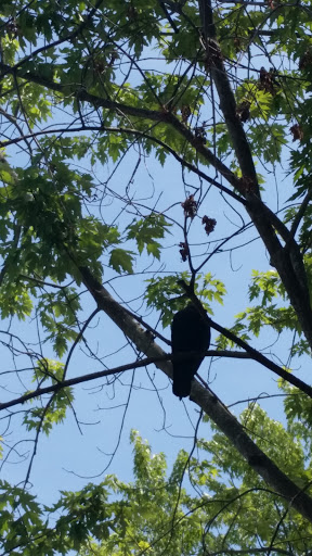 Grocery Store «Home Market Food Inc», reviews and photos, 140 Morgan Dr, Norwood, MA 02062, USA