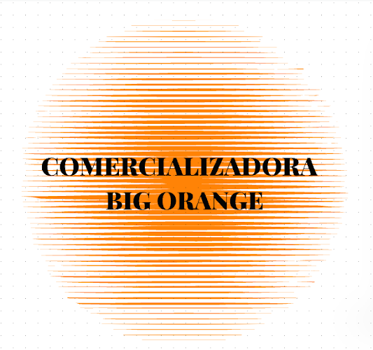Comercializadora Big Orange SPA