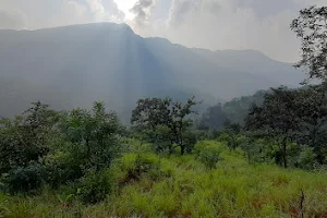Venkatagiri Hills image