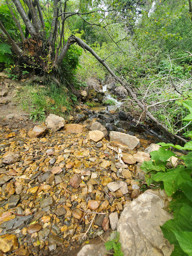 Big Cottonwood Creek