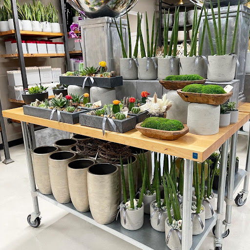 Florist «King florist of Austin», reviews and photos, 1806 W Koenig Ln, Austin, TX 78756, USA