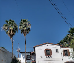 Alameda Mariano Escobedo photo