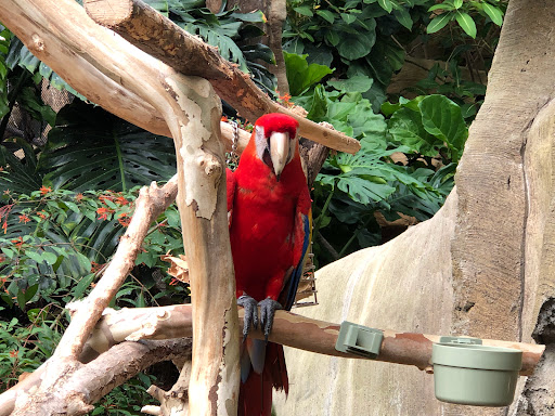 Zoo «Tulsa Zoo», reviews and photos, 6421 E 36th St N, Tulsa, OK 74115, USA