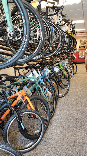 Bicycle Store «Bikes Unlimited», reviews and photos, 230 Monticello Ave, Williamsburg, VA 23185, USA