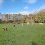 Les Chuchus des Bois 