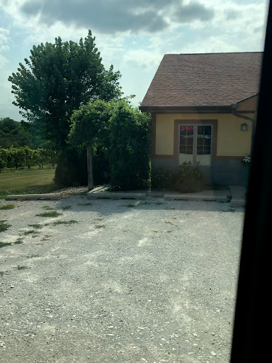 Winery «Two Saints Winery», reviews and photos, 15170 20th Ave, St Charles, IA 50240, USA