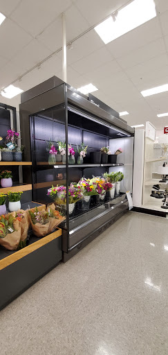 Shopping Mall «Plant Shopping Center», reviews and photos, 1 Curtner Ave, San Jose, CA 95125, USA