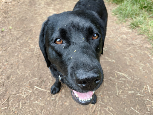 Pet Supply Store «Mud Bay», reviews and photos, 2100 SE 164th Ave, Vancouver, WA 98683, USA