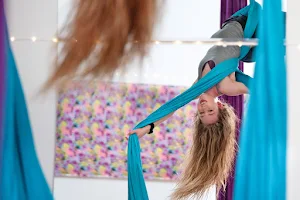 Taos Aerial Gym & Massage Therapy image