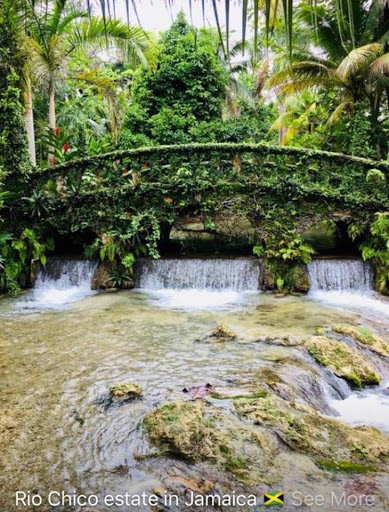 Wedding Planner «Events of A Lifetime», reviews and photos, 525 Fawn Glen Ct, Roswell, GA 30075, USA