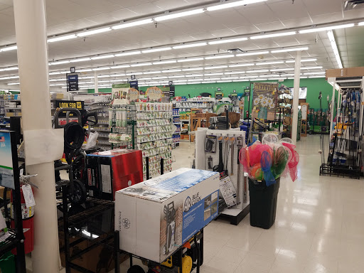 Hardware Store «Vision Ace Hardware», reviews and photos, 8538 Gunn Hwy #10, Odessa, FL 33556, USA