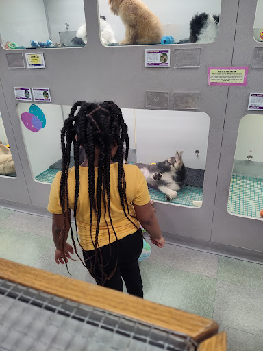 Pet Supply Store «PetSmart», reviews and photos, 2641 Lawndale Dr, Greensboro, NC 27408, USA