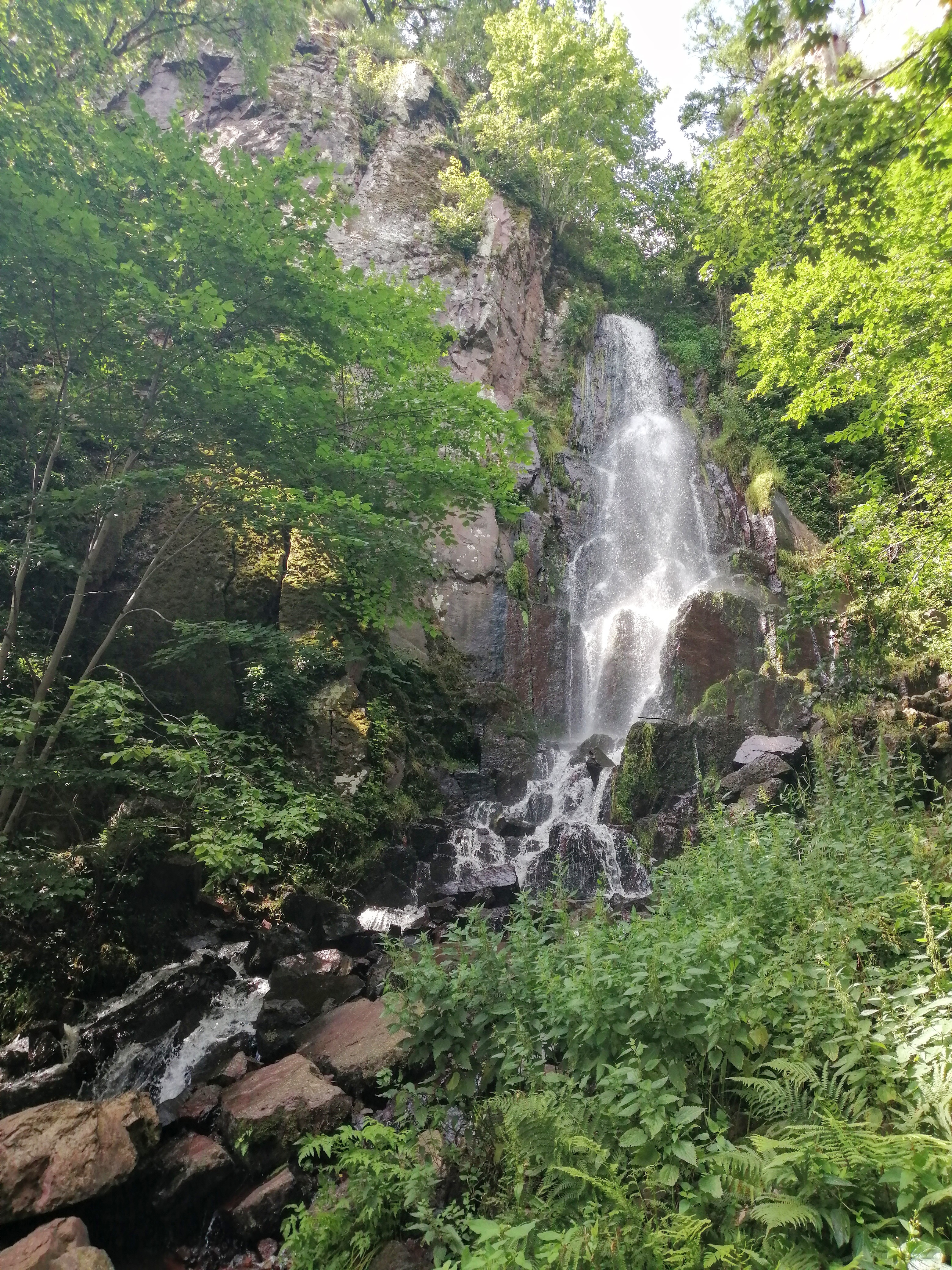 Photo n° 1 de l'avis de Philippe.a fait le 02/08/2021 à 19:14