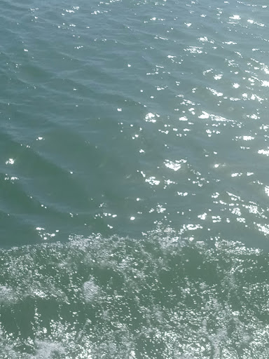 Boat Rental Service «MEGA BITE Tour Boat», reviews and photos, 25 Causeway Blvd, Clearwater Beach, FL 33767, USA