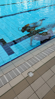 Piscine Luc Berton à Migennes