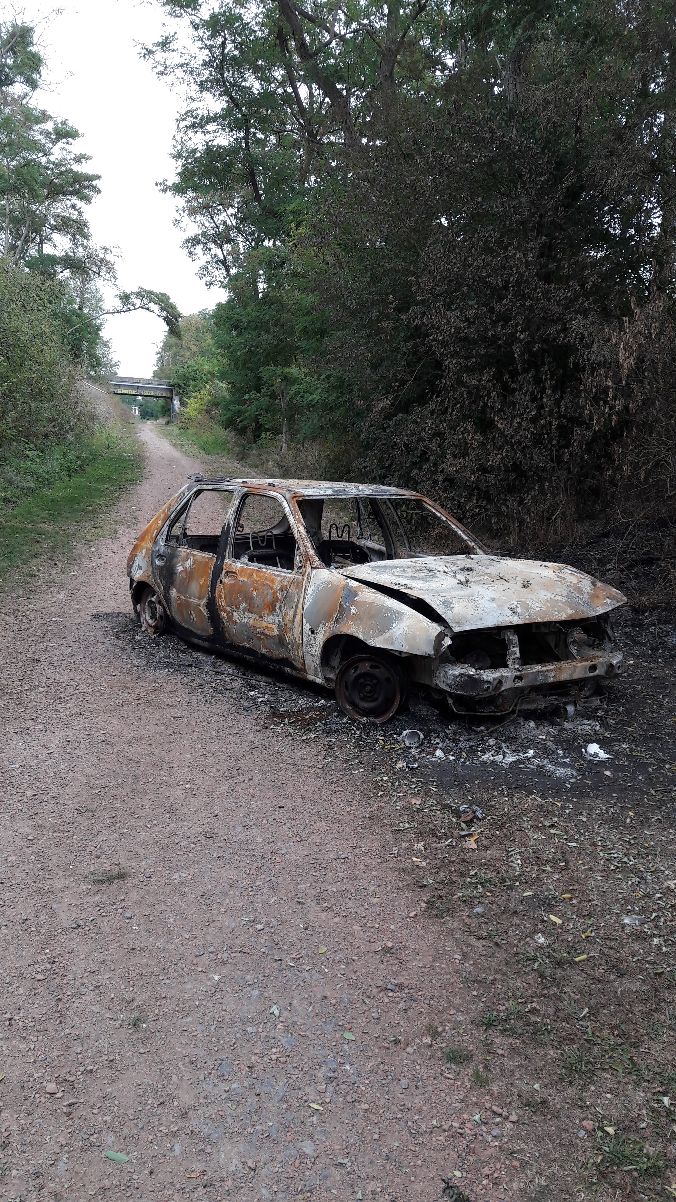 Photo n° 1 de l'avis de Alfa.l fait le 12/09/2019 à 04:09