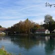 WFV Bern-Neubrücke