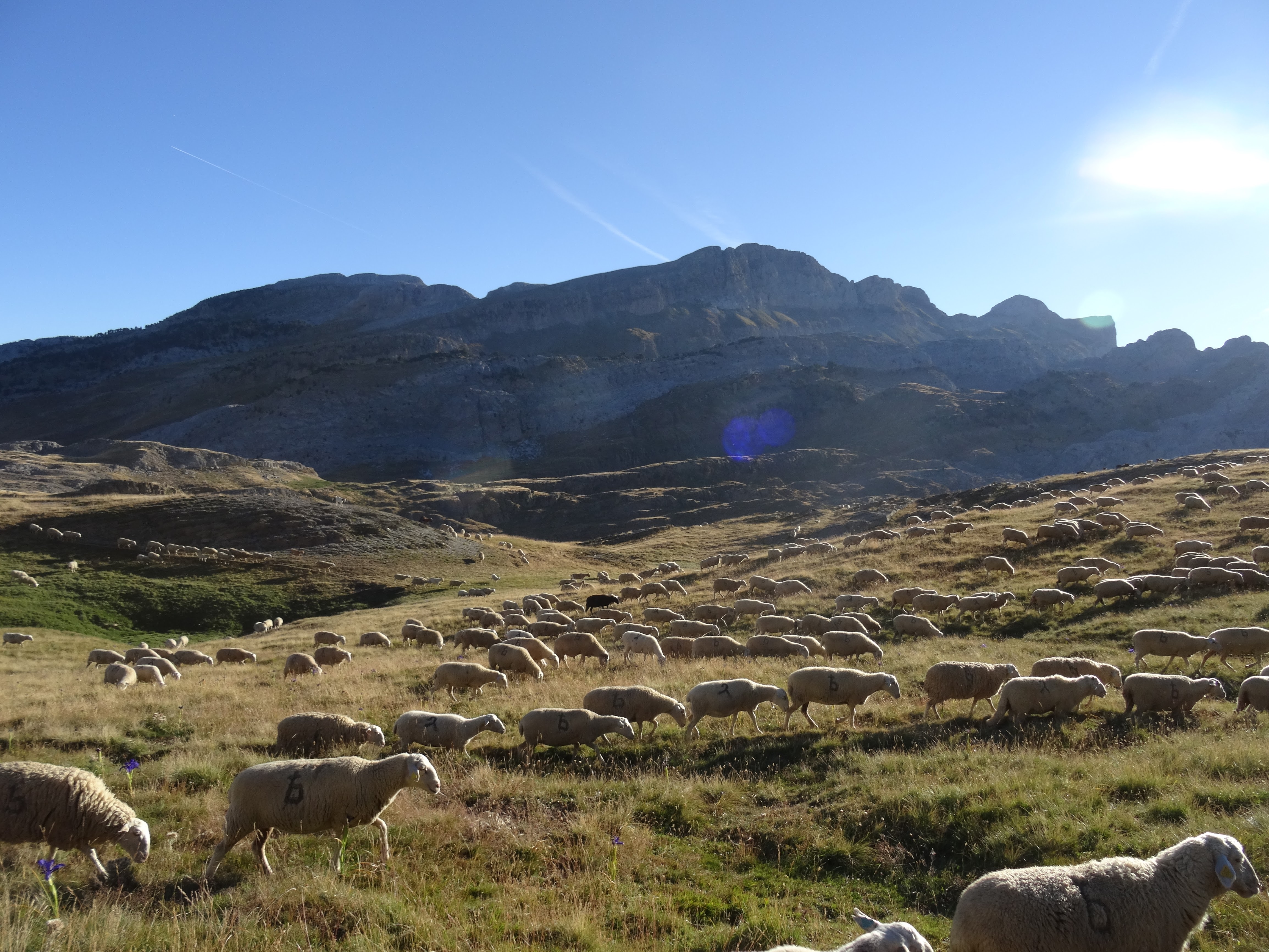 Photo n° 2 de l'avis de Adrián.r fait le 09/08/2017 à 15:03