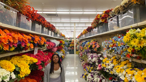 Craft Store «Hobby Lobby», reviews and photos, 16880 US-441, Mt Dora, FL 32757, USA