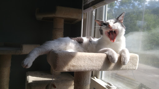 156 Chenoweth Ln, St Matthews, KY 40207, USA