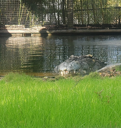 Zoo «Alligator Adventure», reviews and photos, 4604 Hwy 17 S, North Myrtle Beach, SC 29582, USA