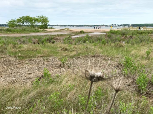 Park «Morse Park», reviews and photos, Morse Ave, West Haven, CT 06516, USA