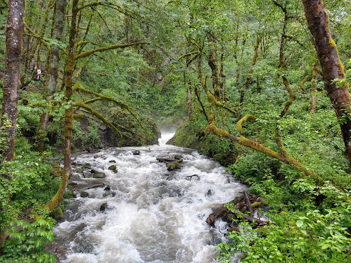 Tourist Attraction «Bridal Veil Falls», reviews and photos, E Crown Point Hwy, Bridal Veil, OR 97010, USA
