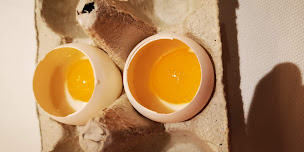 Photo n°160 de JY'S - Schillinger Jean-Yves 2 étoiles Michelin Colmar à Colmar ()