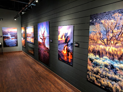 The Sierra Light Gallery